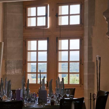 Chateau Le Rosey Hotell Nyon Eksteriør bilde