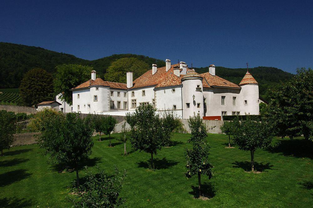 Chateau Le Rosey Hotell Nyon Eksteriør bilde